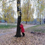  ,   , 64 ,  