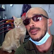 ���������� �������, ���� ������� �������, 41 ���, ������������ ��� ������, ����� � ���������