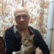 ,   , 46 ,   ,   