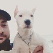  ,   Aziz, 31 ,   ,   