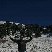 ���������� ����������, ���� ������� �����, 38 ���, ������������ ��� ������, ����� � ���������