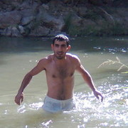  ,   HOVO, 36 ,   