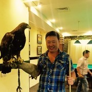  ,   ALEX, 47 ,   ,   , c , 