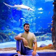 ���������� �������, ���� ������� ���, 29 ���, ������������ ��� ������, ����� � ���������