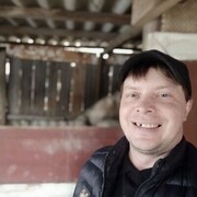 ���������� ����, ���� ������� ������, 41 ���, ������������ ��� ������, ����� � ���������