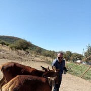  ,   , 45 ,   ,   , c , 
