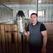  ,   Tore, 40 ,   ,   , c 
