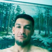 ���������� �����������, ���� ������� ��������, 33 ����, ������������ 