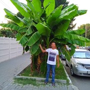 ���������� ������-��-����, ���� ������� �������, 49 ���, ������������ ��� ������, ����� � ���������, c�������� ���������