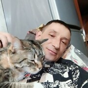  ,   Vi, 38 ,   ,   , 