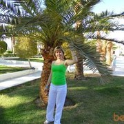 ���������� ������������, ���� ������� �����, 36 ���, ������������ ��� ������, ����� � ���������, c�������� ���������