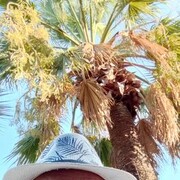  ,   , 54 ,   ,   