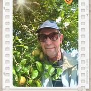  Kleve,   , 63 ,   c , 
