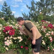 ���������� ������������, ���� ����� �����, 22 ����, ������������ ��� ������, ����� � ���������, c�������� ���������