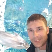 ���������� �����, ���� ������� �����, 38 ���, ������������ ��� ������, ����� � ���������, c�������� ���������