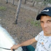 ,   Ribvan, 36 ,   ,   , c , 