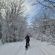 ���������� �������, ���� ������� ���������, 46 ���, ������������ ��� c�������� ���������