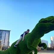 ���������� �����, ���� ����� ������, 20 ���, ������������ ��� ������, ����� � ���������, c�������� ���������, ���������