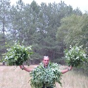 ���������� ���������, ���� ������� �����, 39 ���, ������������ ��� ������, ����� � ���������