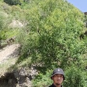 ���������� ������, ���� ������� Ali, 29 ���, ������������ ��� ������, ����� � ���������