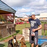 ���������� ����������, ���� ������� ������, 41 ���, ������������ ��� ������, ����� � ���������