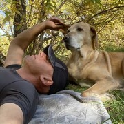 ���������� ���, ���� ������� ����, 44 ����, ������������ ��� ������, ����� � ���������