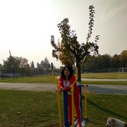 ���������� �����������, ���� ������� ����, 52 ����, ������������ 