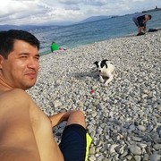  ,   Murad, 38 ,     , c 
