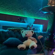 ���������� �����-���������, ���� ����� ���, 20 ���, ������������ ��� ������, ����� � ���������