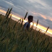 ���������� �������������, ������� Stifler, 32