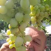  ,   , 62 ,   ,   , c , 