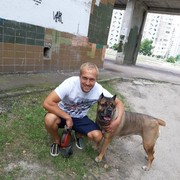 ���������� ����, ���� ������� ����, 41 ���, ������������ ��� ������, ����� � ���������, c�������� ���������