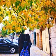  ,   , 25 ,  