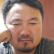  ,   , 43 ,   ,   