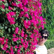 ���������� �������, ���� ������� �����, 53 ����, ������������ ��� ������, ����� � ���������, c�������� ���������