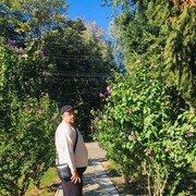  ,   Nazar, 34 ,   ,   , c 