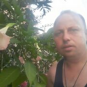  ,   , 43 ,   ,   