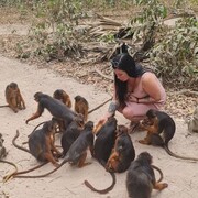 ���������� ������, ���� ������� Marina, 40 ���, ������������ ��� ������, ����� � ���������