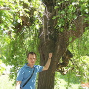 ���������� ����, ���� ������� ����, 43 ����, ������������ ��� ����� � ���������, c�������� ���������