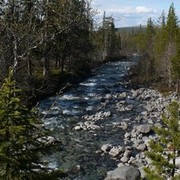 ���������� ����, ���� ������� �����, 39 ���, ������������ 