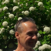  ,   , 58 ,   