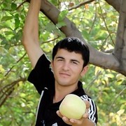  ,  Aliakbar, 33