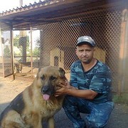  ,   , 48 ,   