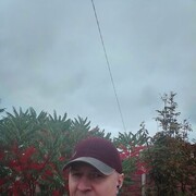  ,   , 51 ,   ,   