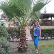 ���������� ������ ��������, ���� ������� �����, 44 ����, ������������ ��� ����� � ���������, c�������� ���������