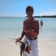 ���������� �����-���������, ���� ������� ��������, 53 ����, ������������ ��� ������, ����� � ���������, c�������� ���������