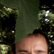 ���������� ����� �������, ������� ��������, 41