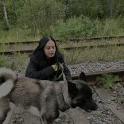 ���������� ������, ���� ������� ������, 20 ���, ������������ ��� ����� � ���������, ���������