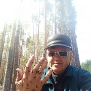 ���������� �������������, ���� ������� �������, 66 ���, ������������ ��� ������, ����� � ���������, c�������� ���������