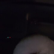  ,   , 32 ,     , c 